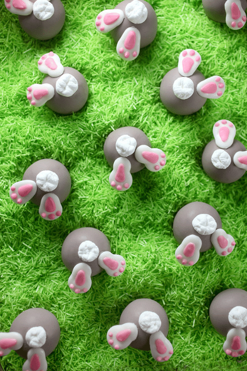 bunny bum bons