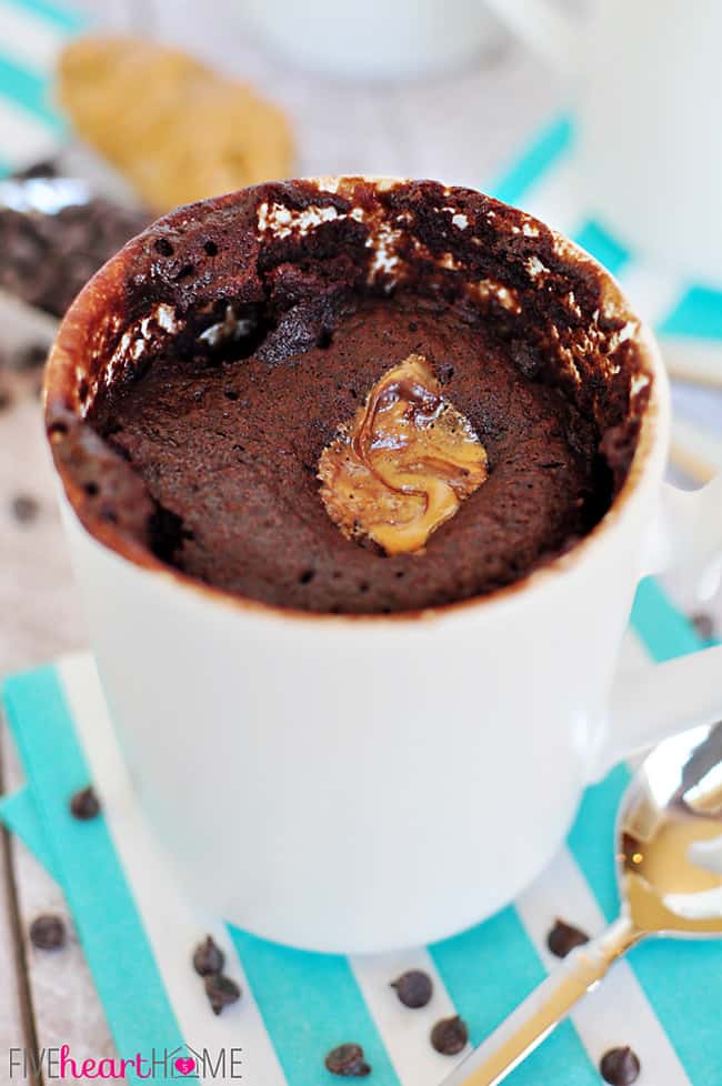 Chocolate Peanut Butter Mug Cake