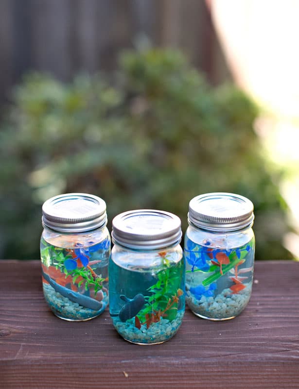 Aquarium Mason Jar