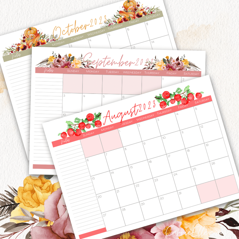 17 Free Printable 2023 Calendars To Help You Plan Your Year - Pretty Sweet
